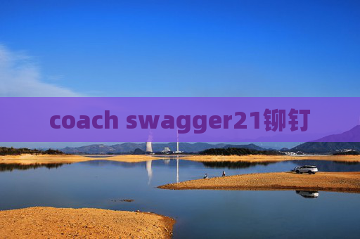 coach swagger21铆钉